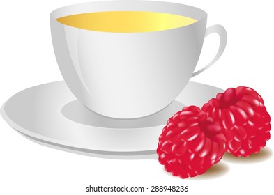 Red raspberries and cup isolated on a white background. Vector illustration.