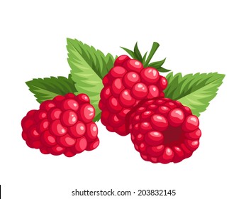 Red raspberries and green leaves isolated on a white background. Vector illustration.