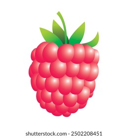 The red raspberries with leaves