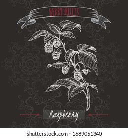 Red raspberry aka Rubus idaeus branch sketch on black background. Berry fruits series. Great for traditional medicine, perfume design, cooking or gardening.