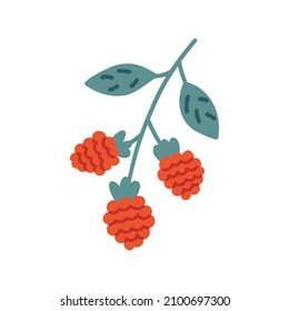 Red raspberry berry  hand drawn naive art