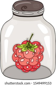 Rote Himbeere, verschlossen auf transparentem Glas
