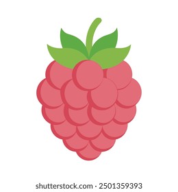 Frambuesa roja Ilustración vectorial de frutas de fondo blanco