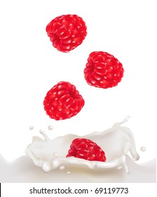 Red raspberry fruits falling into the milk splash. Vector illustration