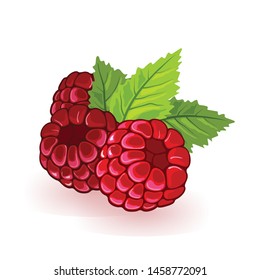 Red raspberry with green leaves. Summer fruitage. Three sweet ripe berries. Cartoon vector icon isolated on white background for packing design, print, advertisement. Ingredients for jam.
