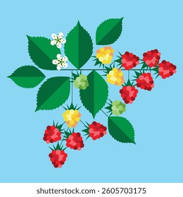 red raspberry mid century modern design 