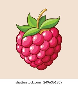 Red raspberry vector art illustration