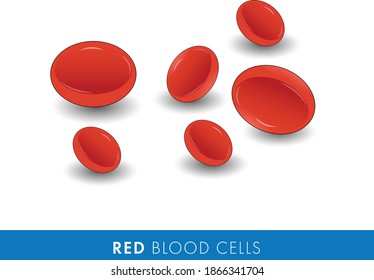Red RBCs in white background and Shadows vector illustration eps for medical posters and infographic's