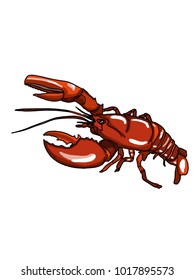  red realistic lobster