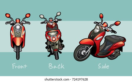 red realistic scooter motorcycle isolate on green background vector illustrations
