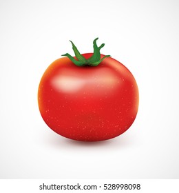 Red realistic tomato with shadow and reflections isolated on white background. Tomato with green leaves. Vector illustration for your graphic design.