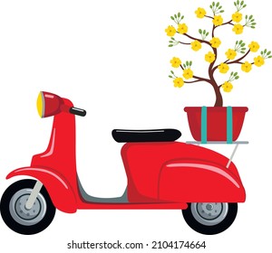 Red retro scooter with a Vietnam yellow blossom Apricot tree (Ochna integerrima) flower for Tet holiday.