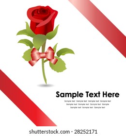 red ribbon gift and a red rose,vector