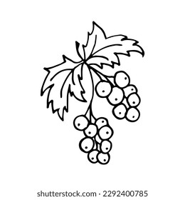 Red Ribes en línea. Ilustración vectorial de bayas de dibujo manual aislada. Esquema simple de Doodle.
