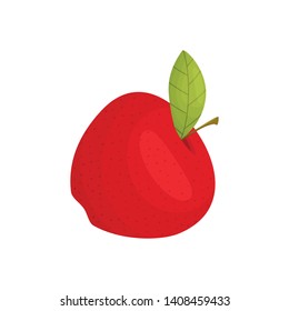 Red ripe apple close up. Vector illustration on white background.