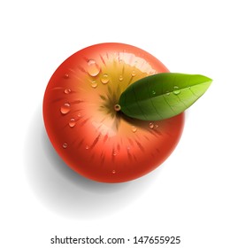 Red ripe apple isolated, vector illustration. 