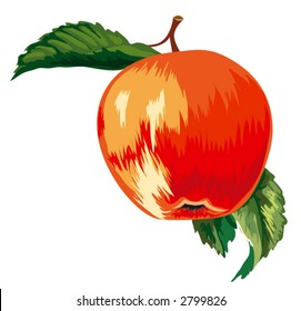 Red Ripe Apple With Leaves, editable vector illustration