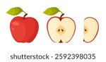 Red ripe apple. Whole, half, slice of fresh Red apple garden fruit. Hand drawn food clipart. Cartoon apple fruit Flat style isolated, transparent background Red Delicious Vector illustration