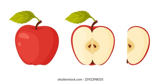 Red ripe apple. Whole, half, slice of fresh Red apple garden fruit. Hand drawn food clipart. Cartoon apple fruit Flat style isolated, transparent background Red Delicious Vector illustration