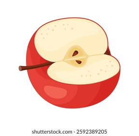 Red ripe half apple, fresh garden fruit. Hand drawn food clipart. Half, slice of fresh red apple fruit, Flat style isolated on transparent background. Vector illustration