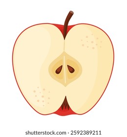 Red ripe half apple, fresh garden fruit. Hand drawn food clipart. Half, slice of fresh red apple fruit, Flat style isolated on transparent background. Vector illustration