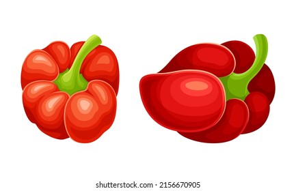 Red ripe pepper bell set vector illustration n white background