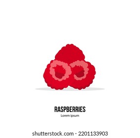 Red ripe raspberries isolated on the white background. Vector illustration. Card or template