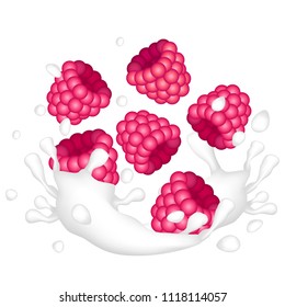 Red ripe raspberry and a splash of milk or yogurt on a white background. Vector illustration.