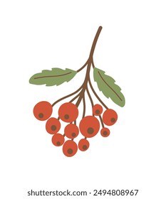 Red ripe rowan berries. Vector illustration isolated on white background. Minimalism