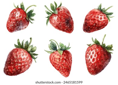 Red ripe sweet strawberry vector set in watercolor style. Fresh strawberry isolated on white.