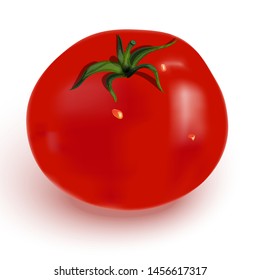 Red ripe tomato with highlights, shadow, green leaves and water drops. Realistic vector image of a tomato. Isolated on white background.