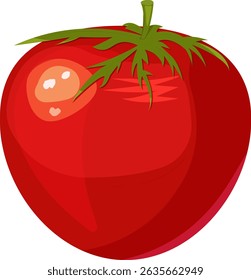  Red ripe tomato, vector icon, fresh and healthy vegetables. Red agricultural natural product, fresh cooking, juice and ketchup ingredient. Vector food illustration