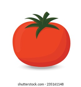 Red ripe tomato vector illustration isolated on white backgroud