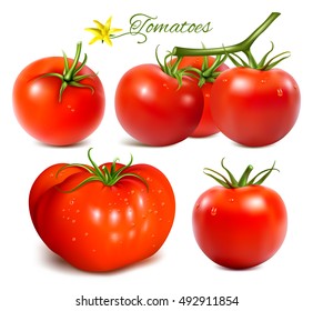 Tomates maduros rojos.  Malla hecha a mano totalmente editable. Colección de ilustraciones vectoriales.