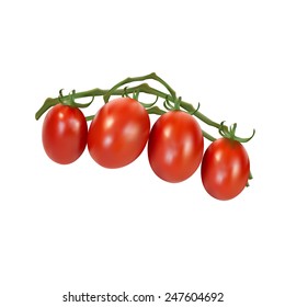 Red ripe tomatoes on the green line close up on white
