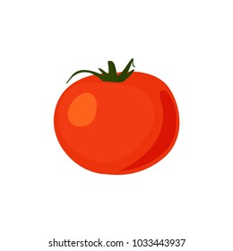 Red ripe tomatoes vector illustration isolated on white.