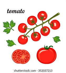 Red ripe tomatoes vector illustration isolated on transparent background.