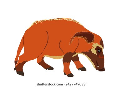 Red river hog vector illustration isolated on white background. Bush pig symbol. Potamochoerus porcus.