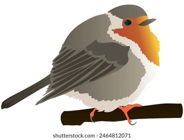 Red robin bird on branch