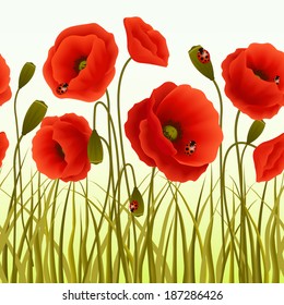 Red romantic poppy flowers and grass with ladybugs wallpaper vector illustration.