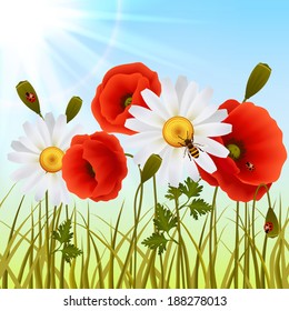 Red romantic poppy flowers white daisies and grass with ladybugs wallpaper vector illustration