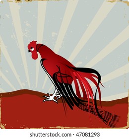 Red rooster
