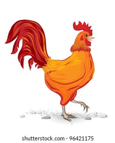 151,903 Red Rooster Images, Stock Photos & Vectors | Shutterstock