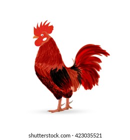 red rooster - a symbol of the new 2017 according to the Chinese calendar. Vector illustration of cute rooster. cartoon vector illustration of cock