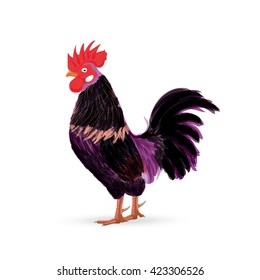 red rooster - a symbol of the new 2017 according to the Chinese calendar. Vector illustration of cute rooster. cartoon vector illustration of cock