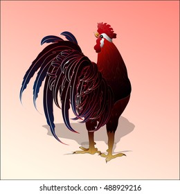 Red rooster, symbol of new year. Vector illustration.