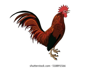 Red rooster, the symbol of year 2017