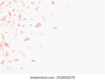 Red Rosa Vector Transparent Background. Petal Aroma Banner. Blooming Feminine Backdrop. Peach Marriage Illustration. Light Apple Sky Card.