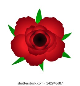 Red Rose