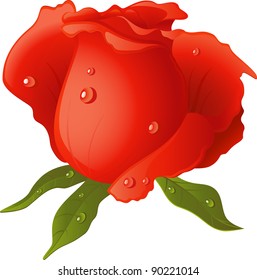 Red Rose